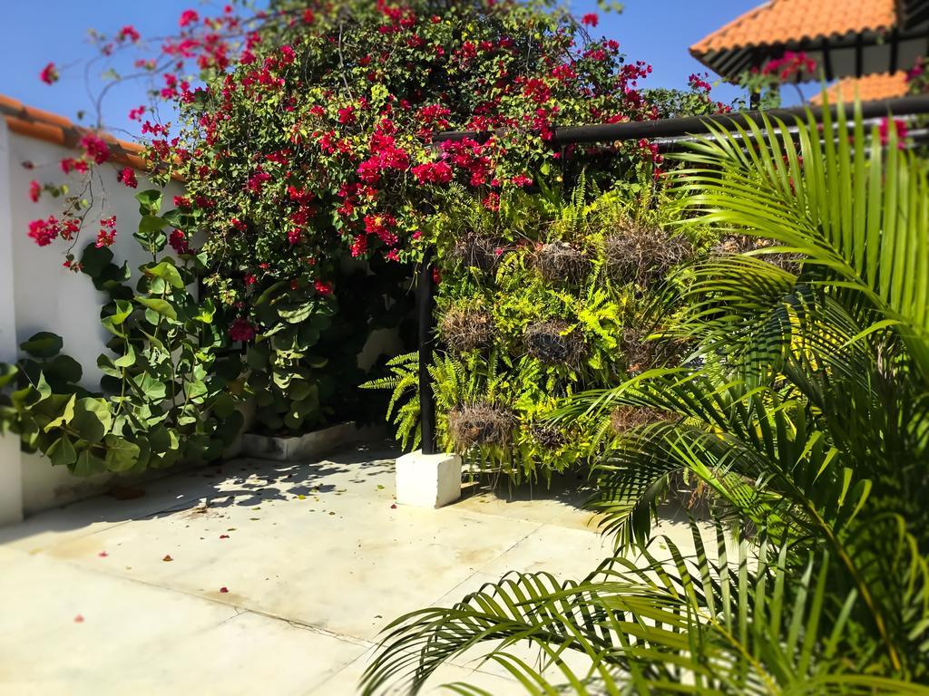 Casa Ines Bed & Breakfast Santa Marta  Eksteriør bilde