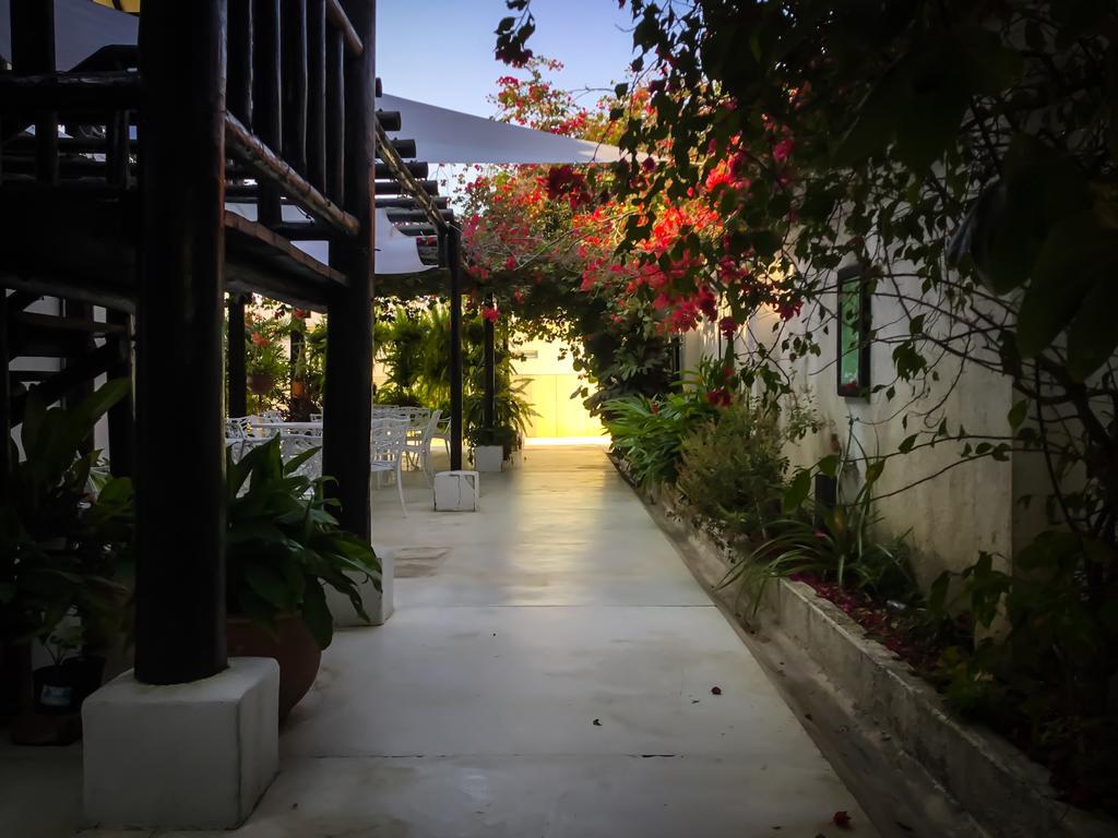 Casa Ines Bed & Breakfast Santa Marta  Eksteriør bilde